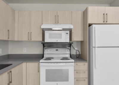 Old Dixie Apartment Kitchen
