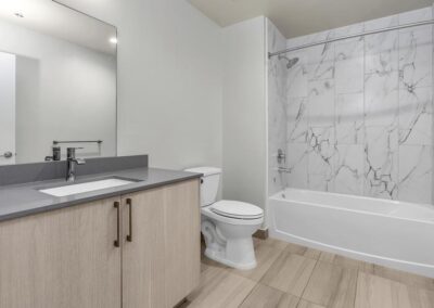 Old Dixie Apartment Bathroom