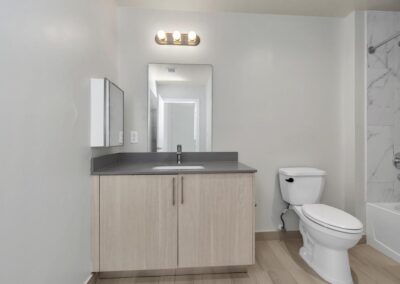 Old Dixie Apartment Bathroom