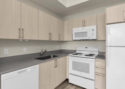 Old Dixie Apartment Kitchen
