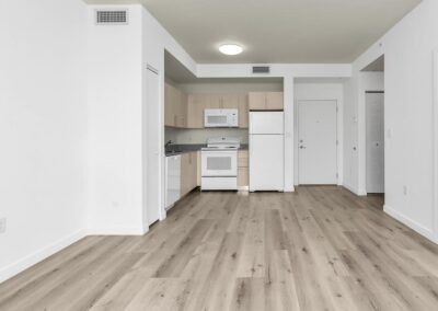 Old Dixie Apartment Living area and Kitchen